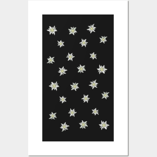 The Sound of Music Edelweiss Flower Posters and Art